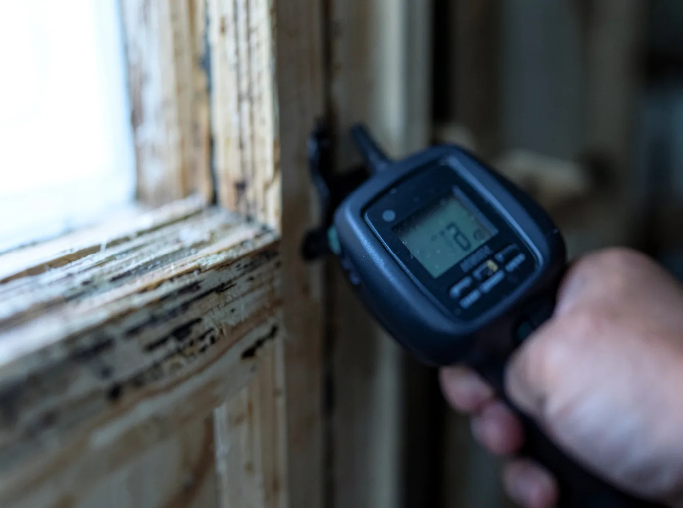 Moisture Inspection And Documentation in Baker, NV